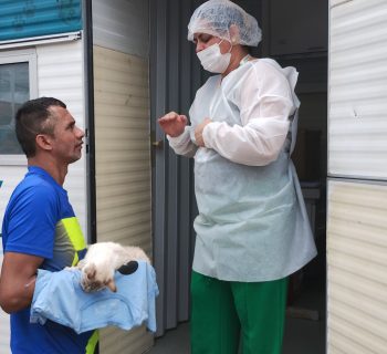 Prefeitura abre vagas para castração de cães e gatos no CCZ Manaus nesta quarta-feira