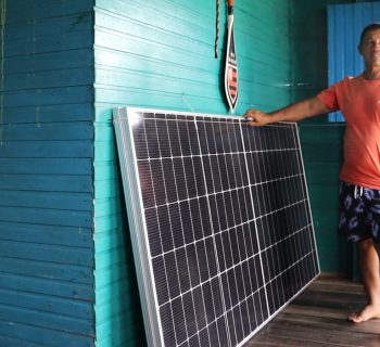 Produtores estão usando o lucro da venda de pirarucu para instalar energia solar