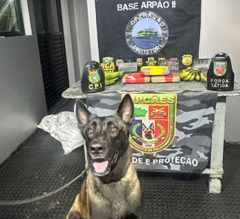 Cão policial encontra drogas em caixas de equipamentos de informática
