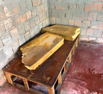 Polícia prende dois irmãos por maus-tratos à mãe de 70 anos